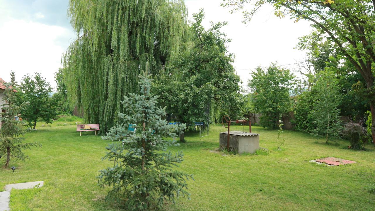 Home Tara Хацег Экстерьер фото